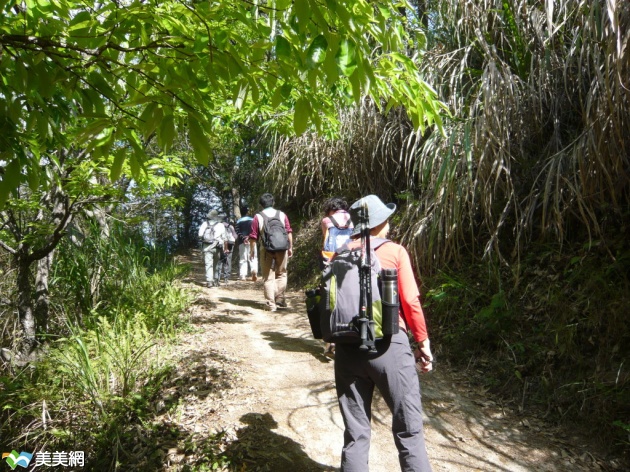 玉山國家公園東埔生態旅遊活動